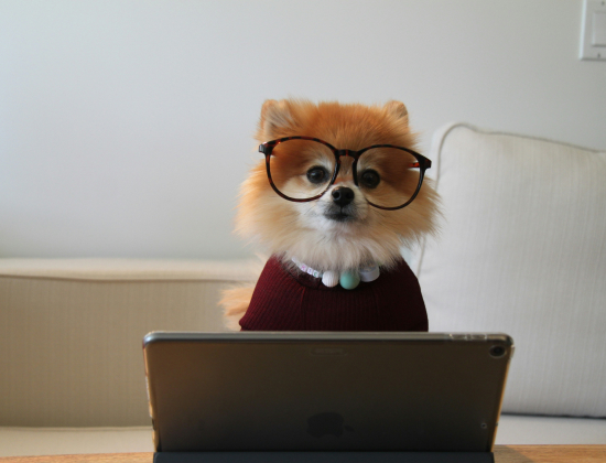 Lire un patron de tricot