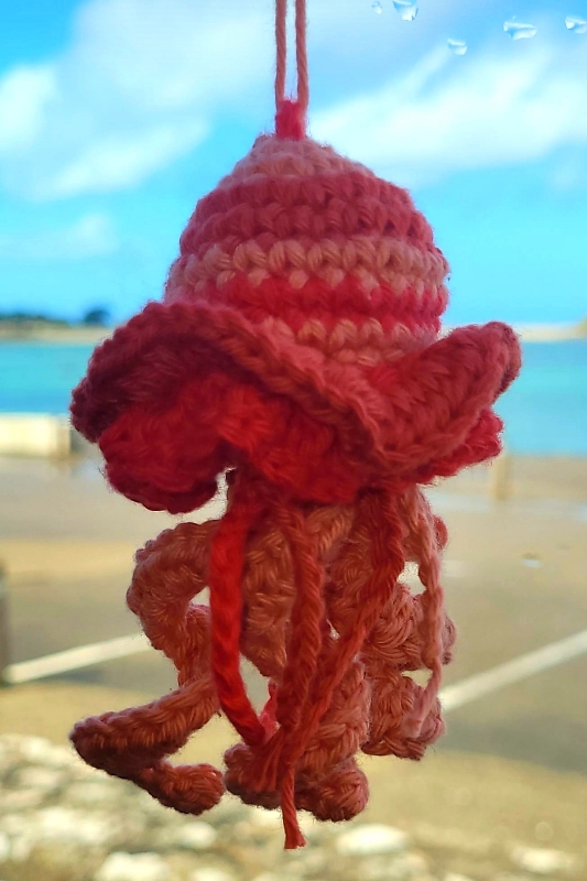 méduse de la mer 🌊🐚🐙